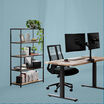 Elevated and organized bundle includes an electric standing desk 60x30 a 5 tier open shelf dual monitor arm and task chair