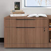 Executive Lateral file cabinet in office setting
